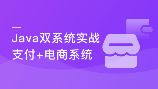 实战支付+电商双系统 玩“赚”Java技术栈