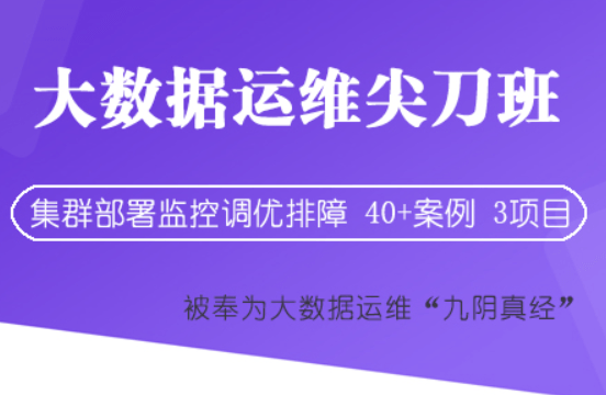 大讲台-大数据运维尖刀班（1期）