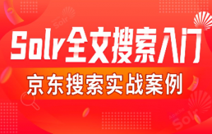 Solr全文搜索入门教程,包含京东搜索项目实战案例